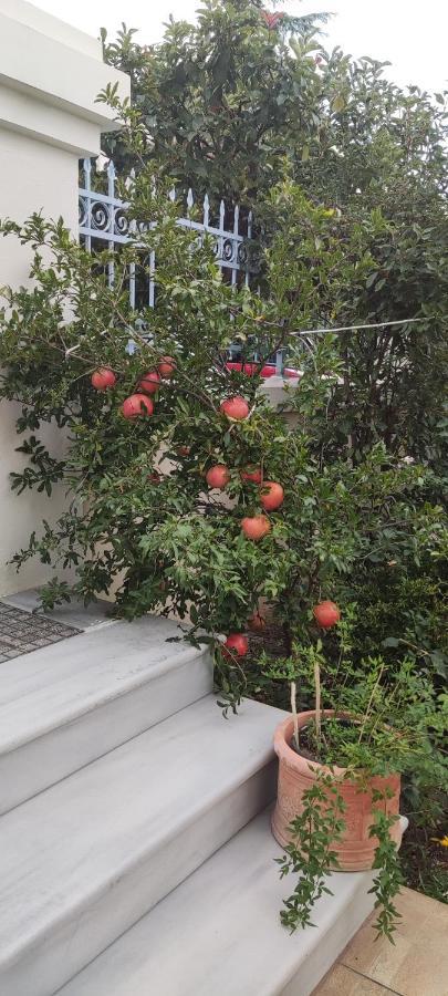 Dora'S Home With Garden Volos Buitenkant foto